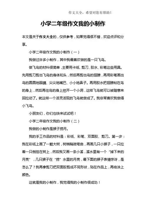 小学二年级作文我的小制作