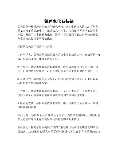 猛犸象化石特征