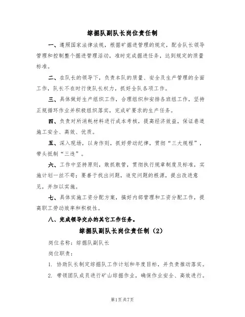 综掘队副队长岗位责任制(5篇)