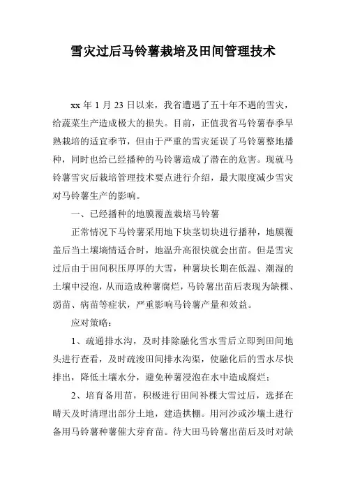 雪灾过后马铃薯栽培及田间管理技术