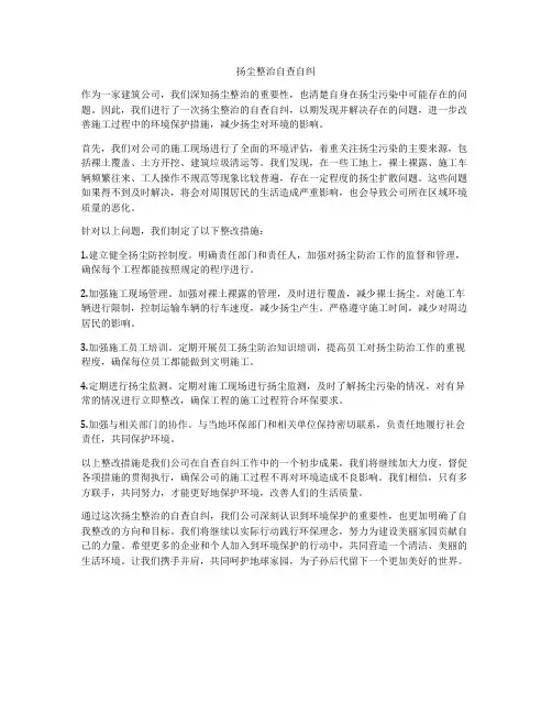 扬尘整治自查自纠