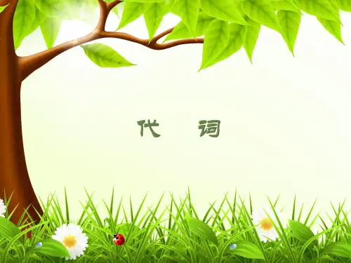 代词PPT(人称代词物主代词)