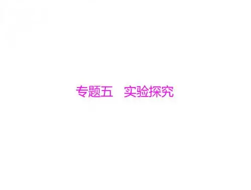 广东省中考化学复习(课件)：第二部分 专题五 实验探究一 有关氢氧化钠和氢氧化钙变质的探究