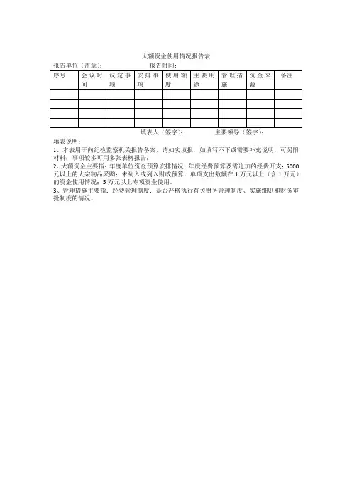 大额资金使用情况报告表