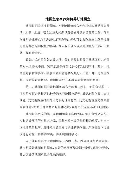 地图鱼怎么养如何养好地图鱼