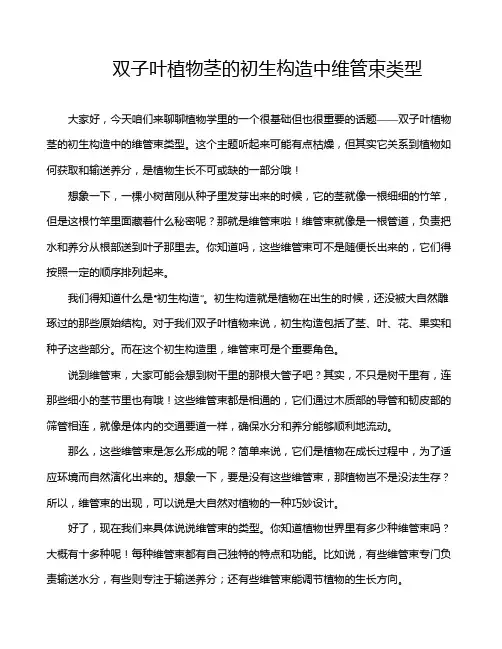 双子叶植物茎的初生构造中维管束类型