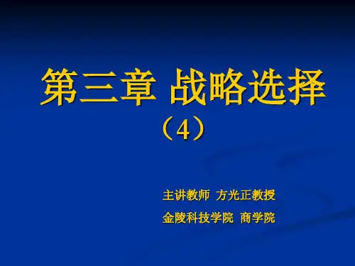 战略选择概论(PPT 36页)