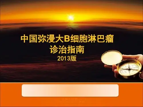 中国弥漫大B细胞淋巴瘤诊治指南ppt课件