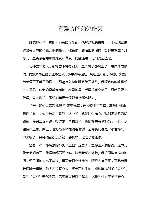 有爱心的弟弟作文
