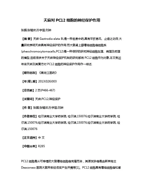 天麻对PC12细胞的神经保护作用