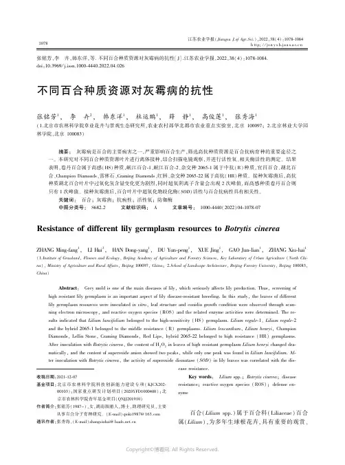 不同百合种质资源对灰霉病的抗性筛选