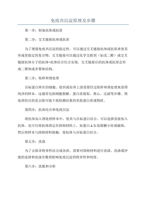免疫共沉淀原理及步骤