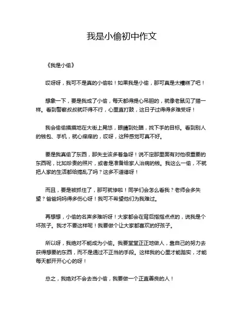 我是小偷初中作文