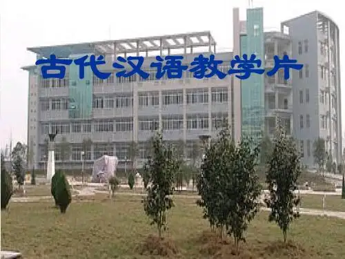 代  词
