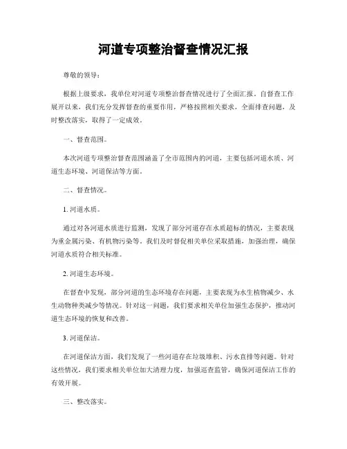 河道专项整治督查情况汇报