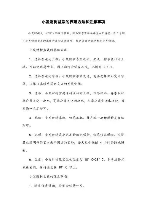 小发财树盆栽的养殖方法和注意事项