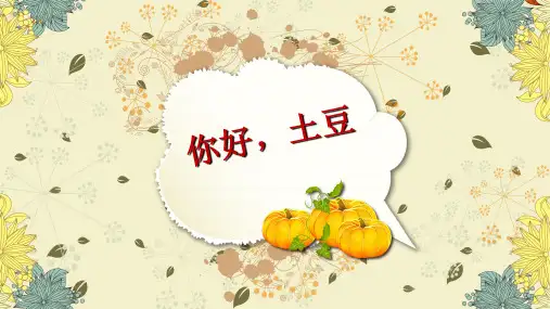 《你好,土豆》幼儿园班本课程PPT课件