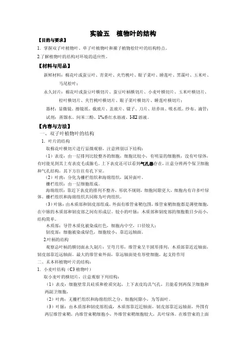 实验五植物叶的结构