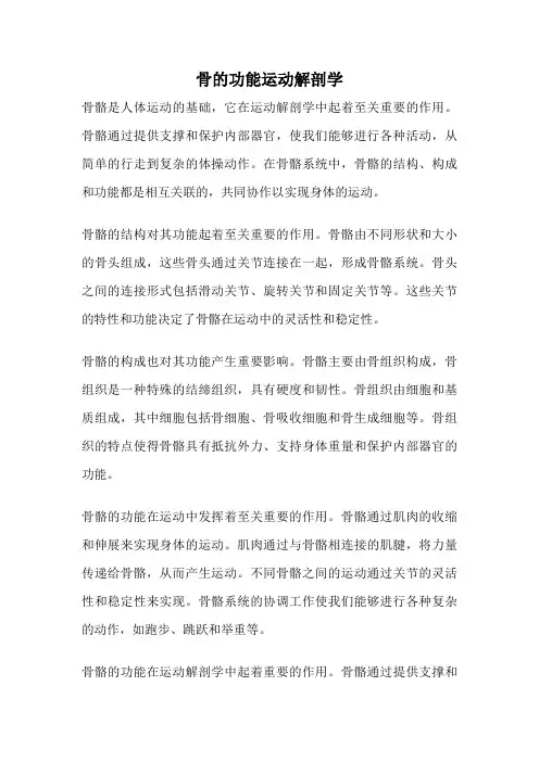 骨的功能运动解剖学