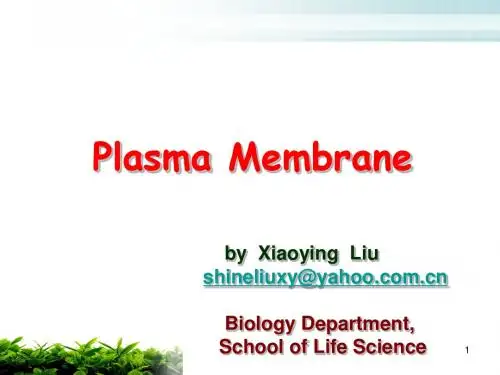cell membrane
