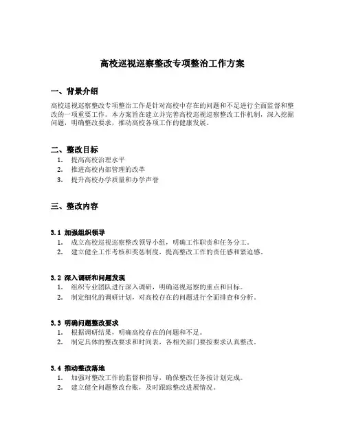 高校巡视巡察整改专项整治工作方案