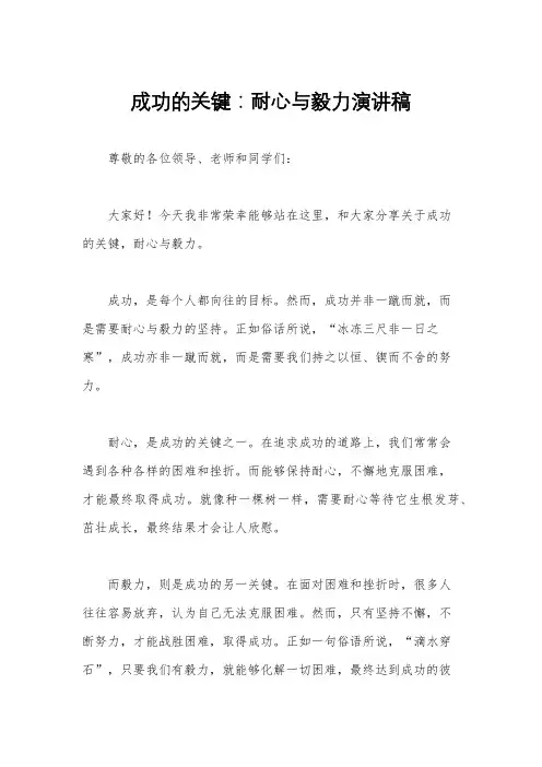 成功的关键：耐心与毅力演讲稿