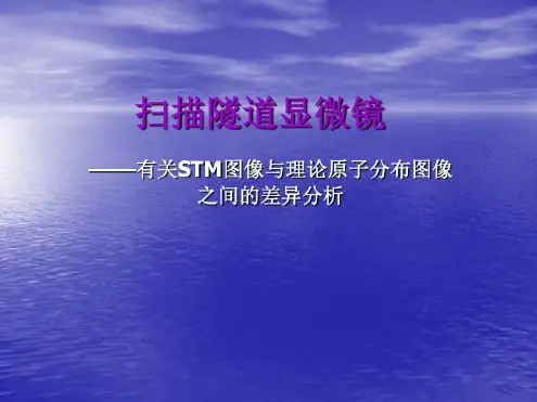 扫描隧道显微镜_2022年学习资料