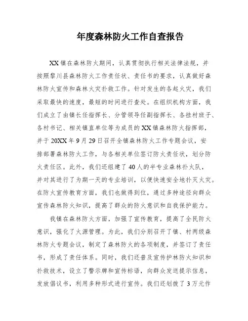 年度森林防火工作自查报告