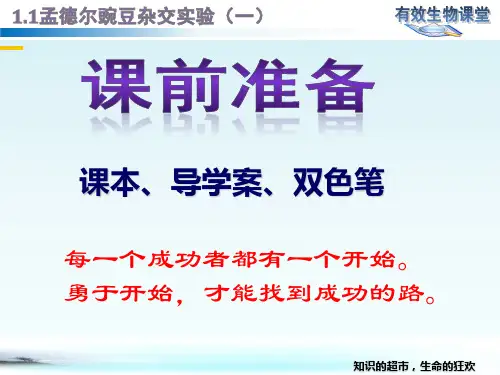 人教版高中生物必修二：1.1孟德尔的豌豆杂交实验(一)课件(29张PPT)