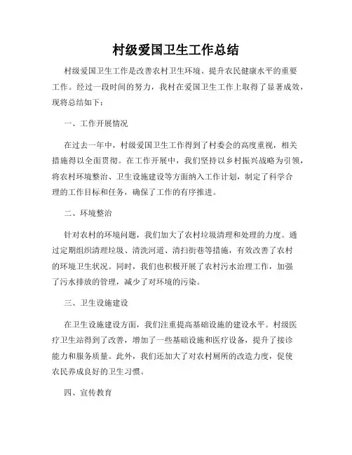 村级爱国卫生工作总结