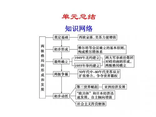 两极格局下的世界 PPT课件 课件2 人教版