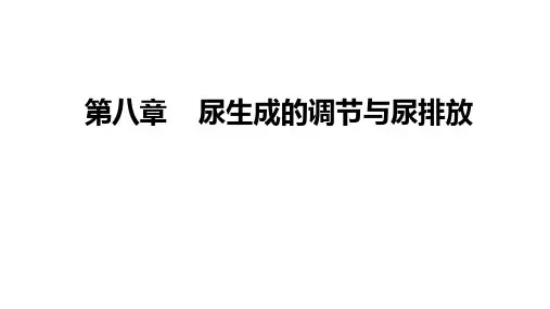 生理学之尿生成的调节与尿排放