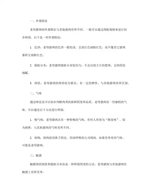 老母猪肉辨别方法(一)
