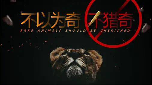 野生动物保护教育PPT模板