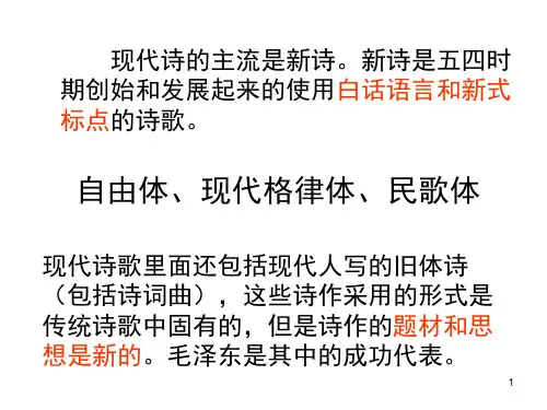 新诗发展史的概述课堂PPT