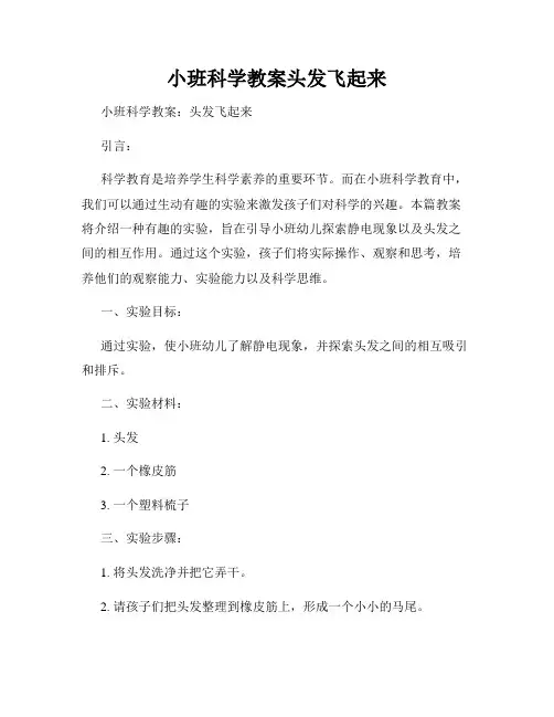 小班科学教案头发飞起来