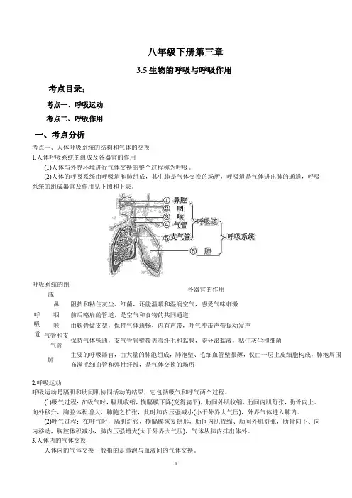 生物的呼吸与呼吸作用复习(解析版)