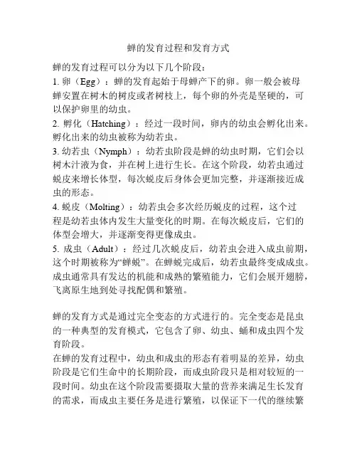 蝉的发育过程和发育方式