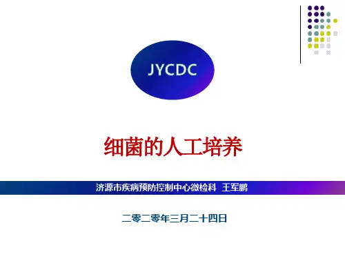 细菌的人工培养