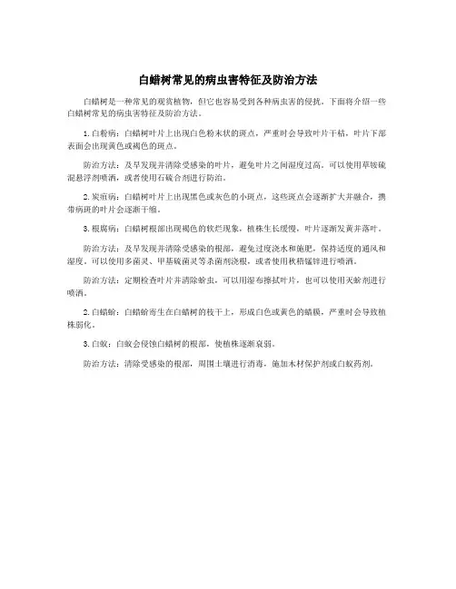 白蜡树常见的病虫害特征及防治方法