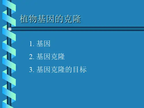 植物基因克隆的方法