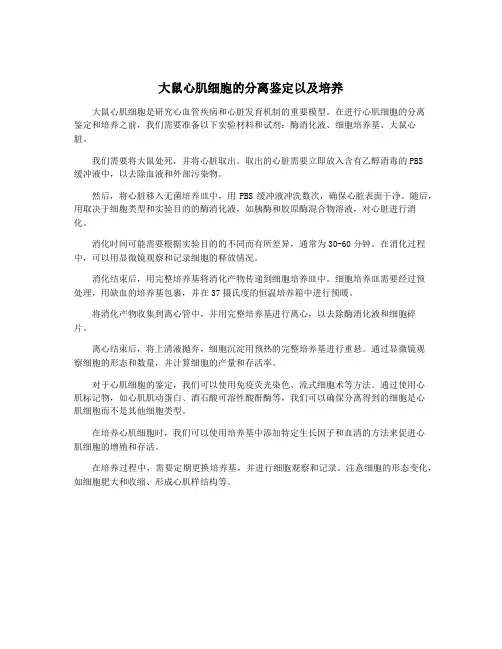 大鼠心肌细胞的分离鉴定以及培养