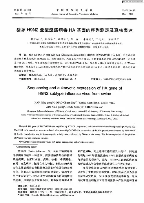 猪源H9N2亚型流感病毒HA基因的序列测定及真核表达