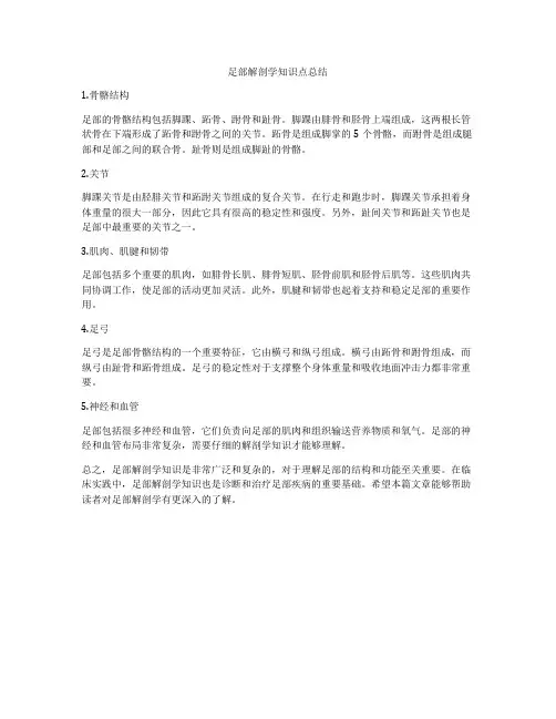 足部解剖学知识点总结