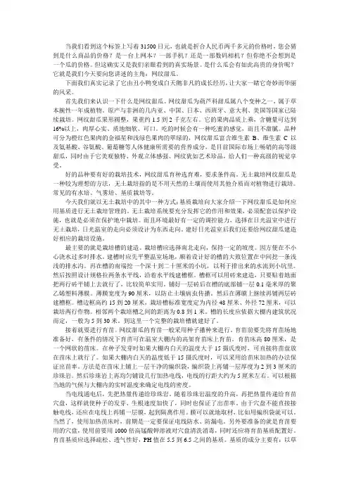 网纹甜瓜