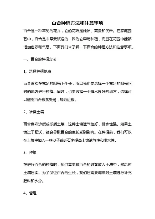 百合种植方法和注意事项