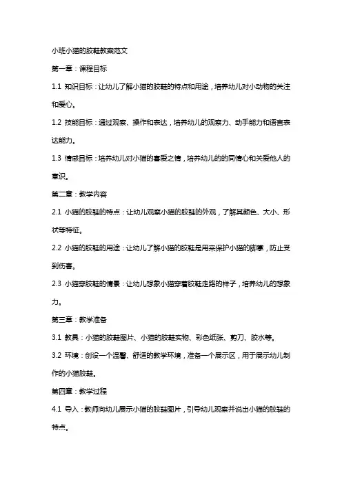 小班小猫的胶鞋教案范文