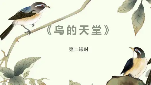 统编版五年级语文上册23鸟的天堂第二课时课件(共14张PPT)