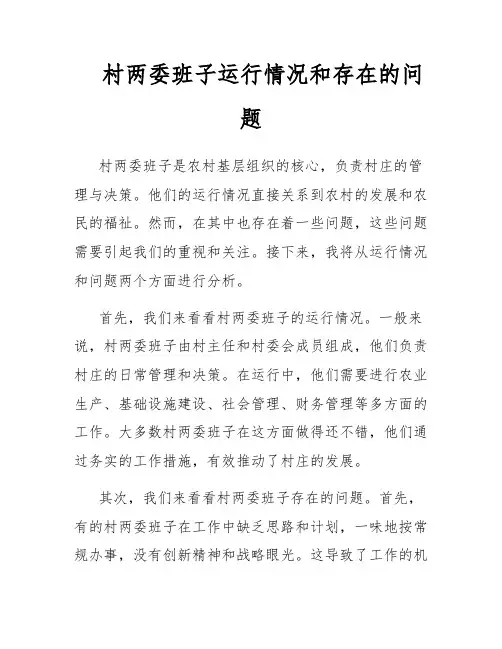 村两委班子运行情况和存在的问题