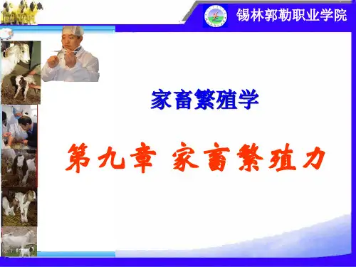 第九章 家畜繁殖力